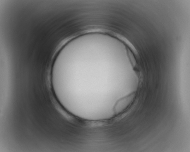 X0000114560890200910191009