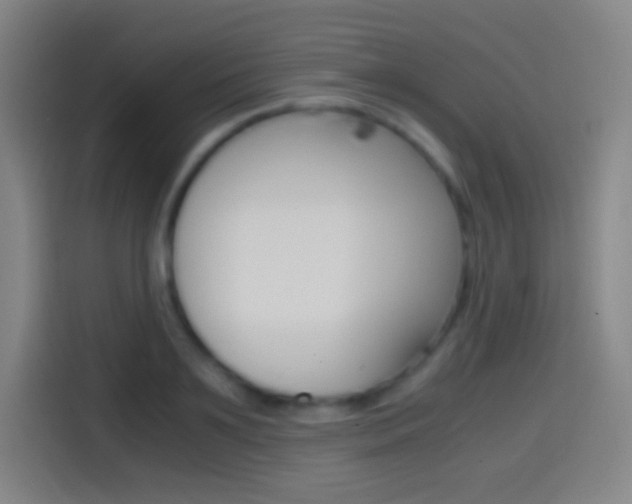 X0000114560891200910191009