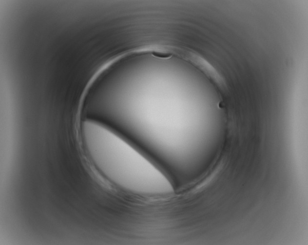 X0000114560892200910191009