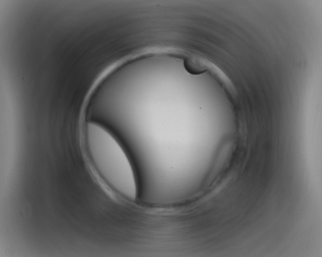 X0000114560894200910191009