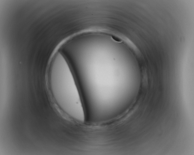 X0000114560896200910191009