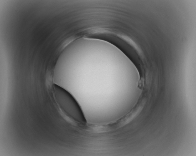 X0000114560897200910191009