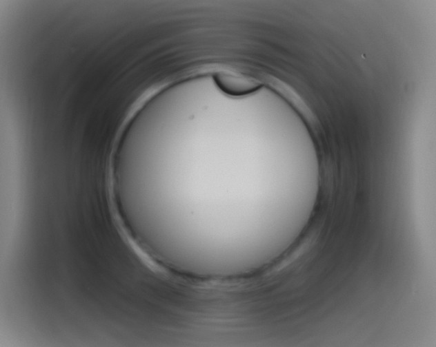 X0000114560898200910191009