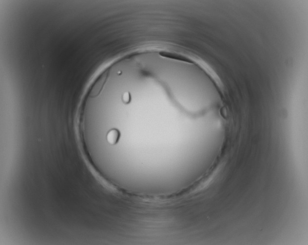 X0000114560901200910191009