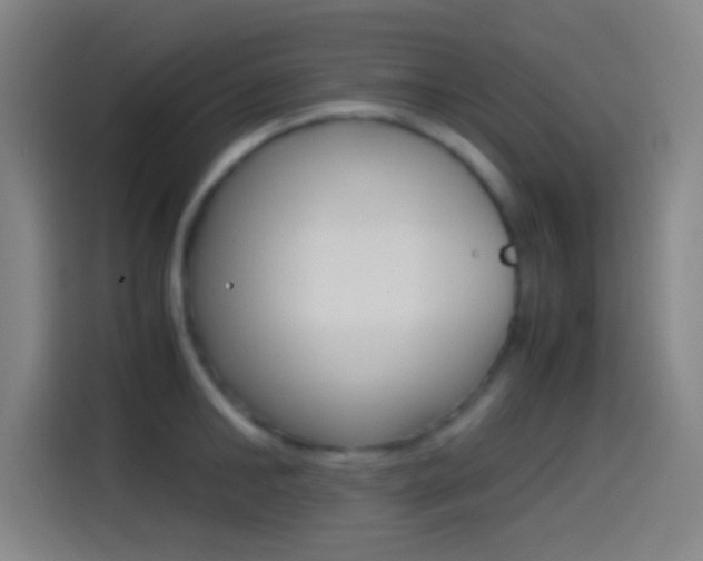 X0000114560902200910191009