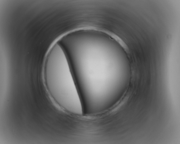 X0000114560904200910191009