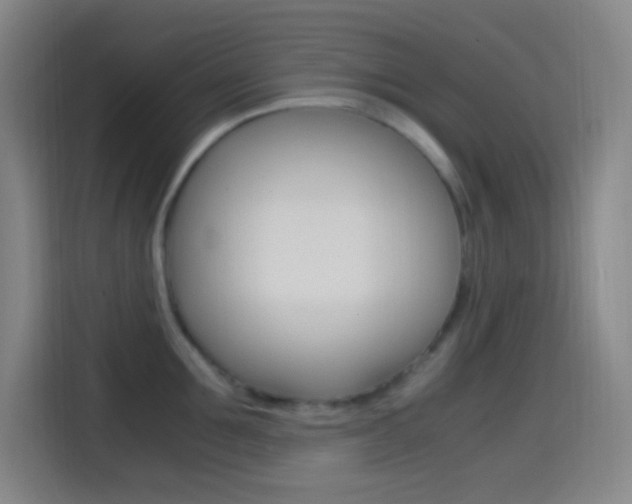X0000114560907200910191009