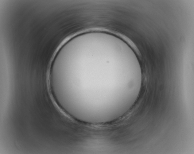 X0000114560911200910191009