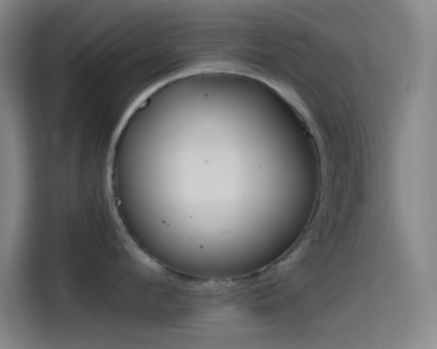 X0000114560912200910191009