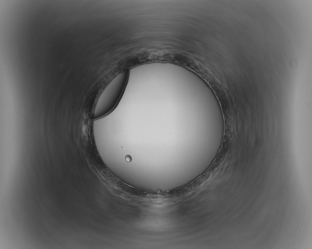 X0000114560914200910191008