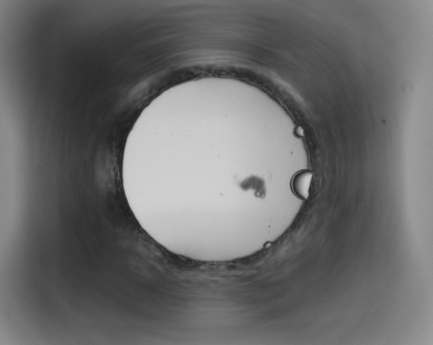 X0000114560918200910191008