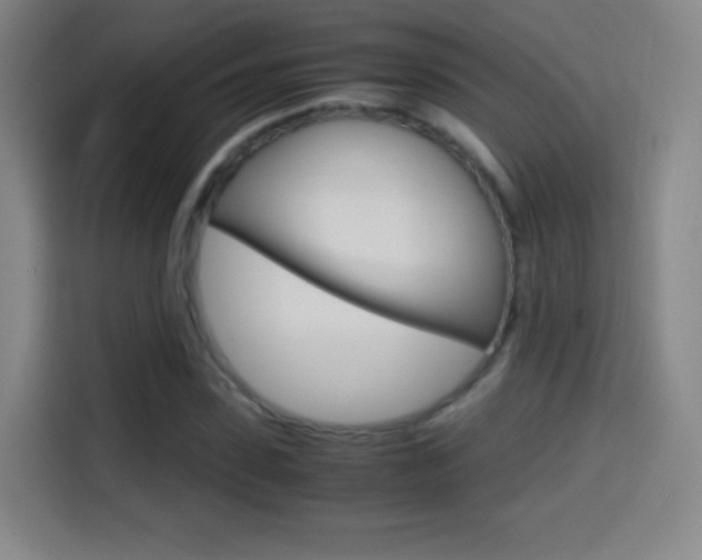 X0000114560923200910191008