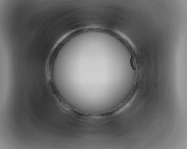 X0000114560925200910191008