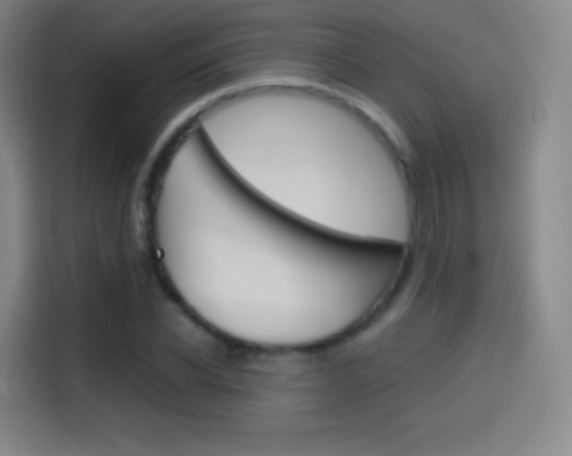 X0000114560926200910191008