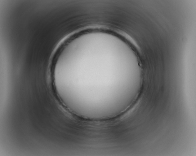 X0000114560927200910191008
