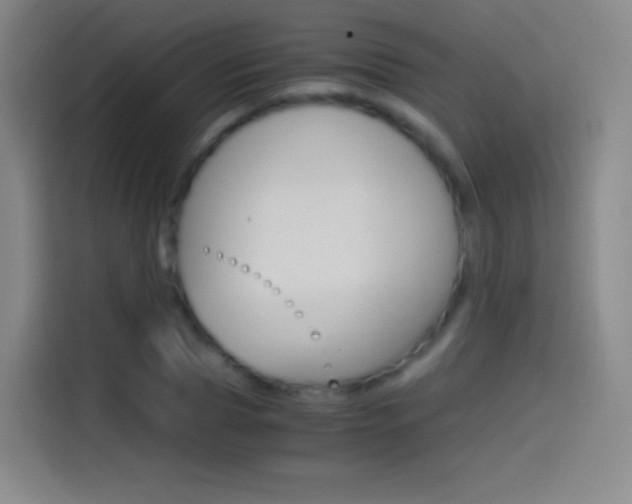 X0000114560929200910191008