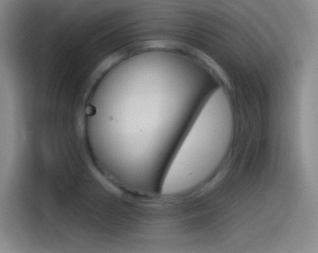 X0000114560938200910191008