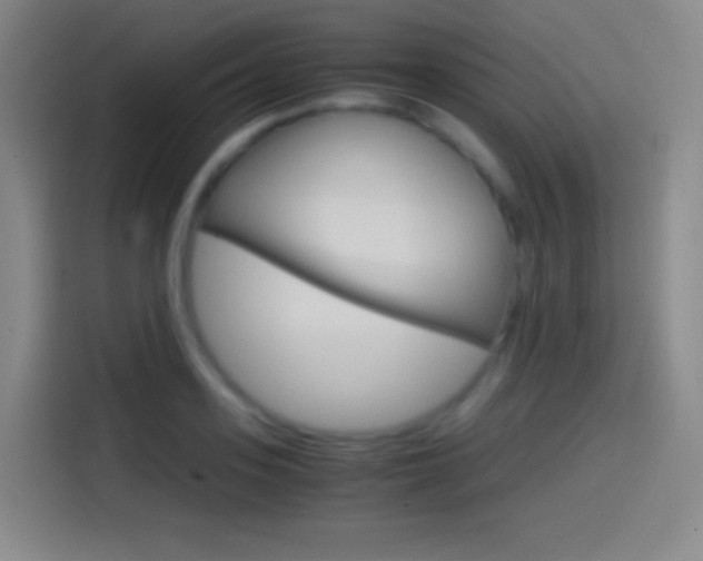 X0000114560939200910191008