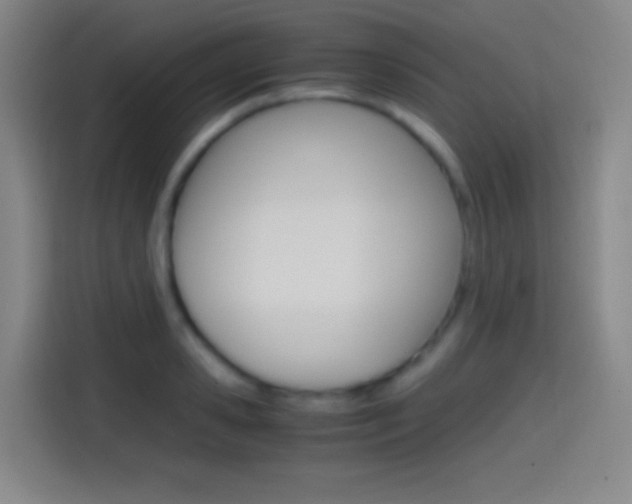 X0000114560941200910191008