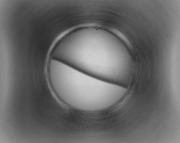 X0000114560943200910191008
