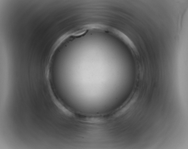 X0000114560946200910191008