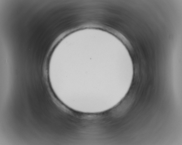 X0000114560950200910191008