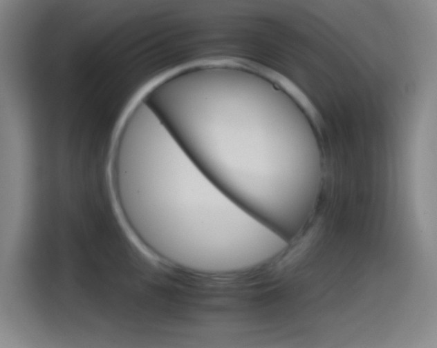 X0000114560951200910191009
