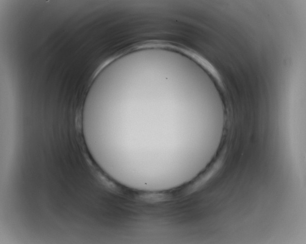 X0000114560953200910191009