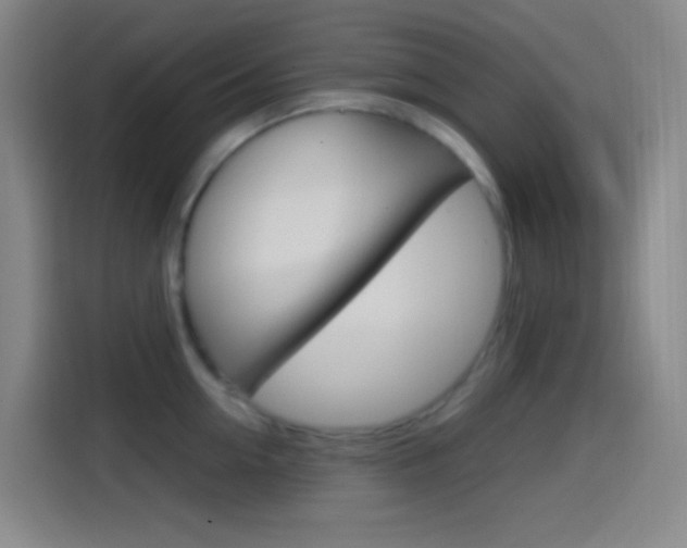 X0000114560954200910191009