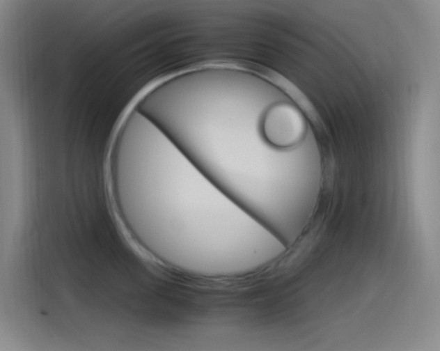 X0000114560955200910191009