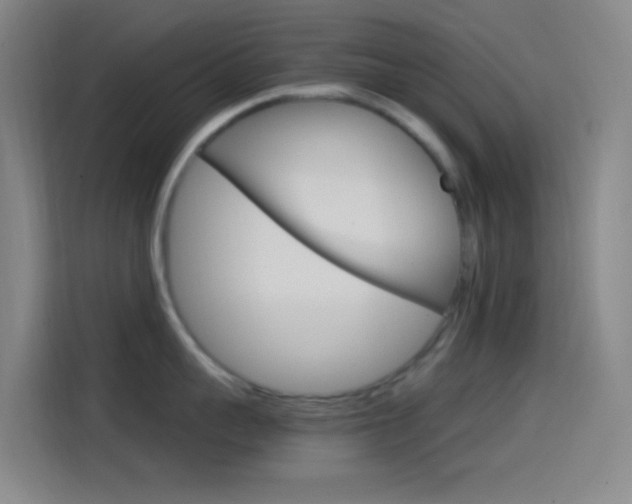 X0000114560959200910191009