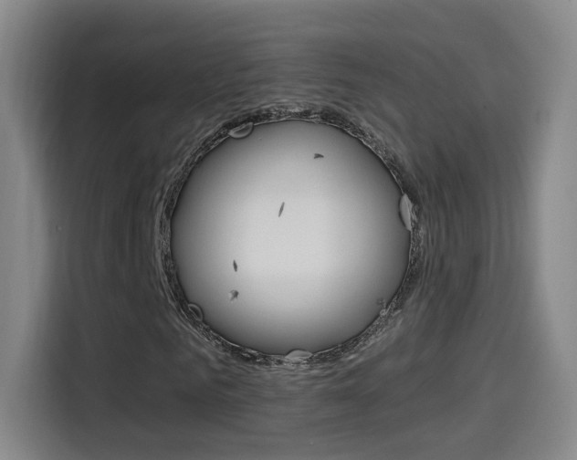 X0000114560961200910191008