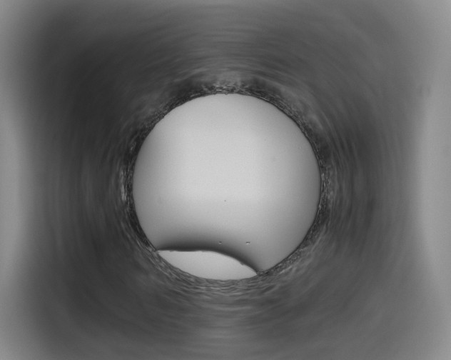X0000114560962200910191008