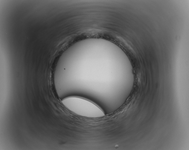 X0000114560964200910191008