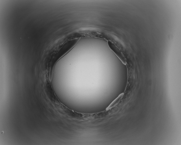 X0000114560965200910191008