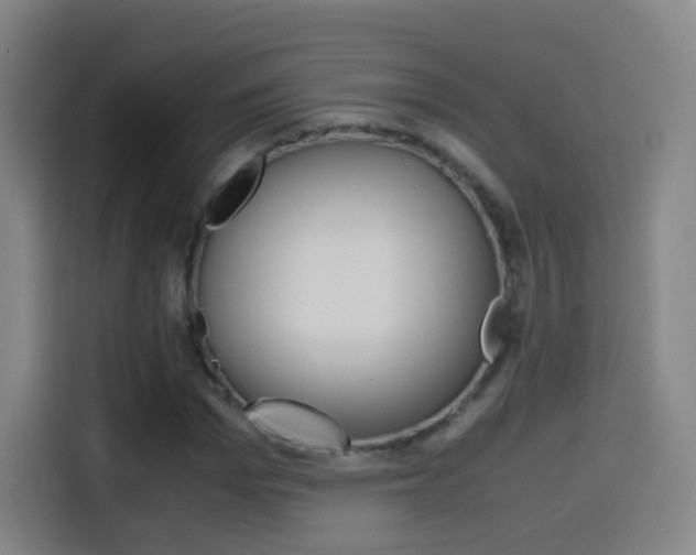 X0000114560969200910191008