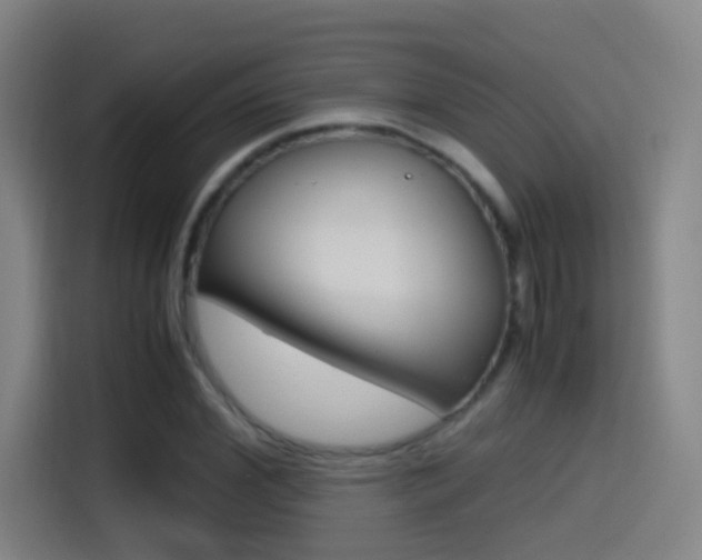 X0000114560972200910191008