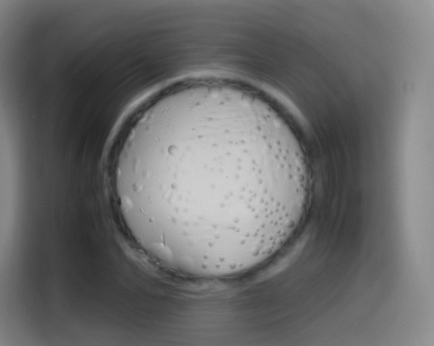 X0000114560974200910191008