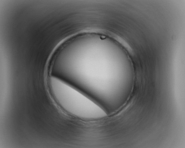 X0000114560976200910191008