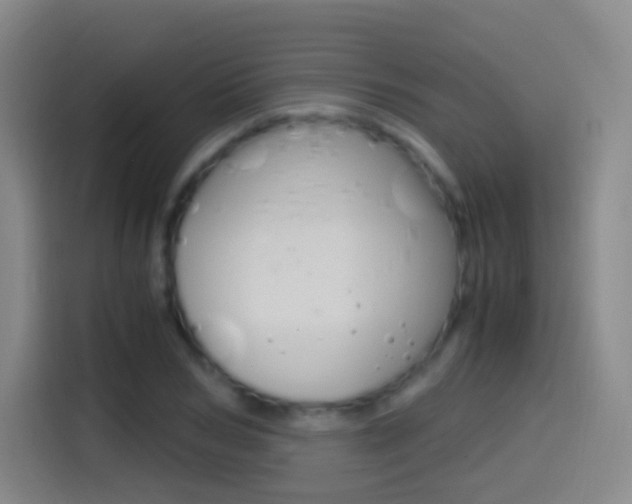 X0000114560978200910191008