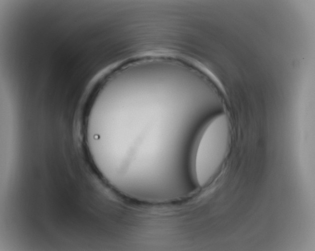 X0000114560979200910191008