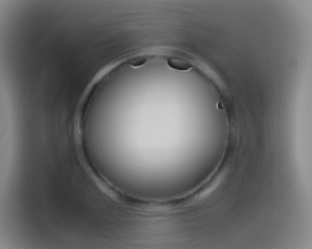 X0000114560981200910191008
