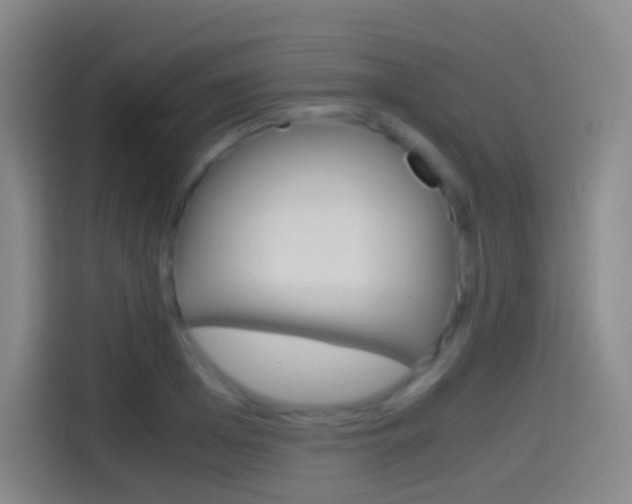 X0000114560985200910191008