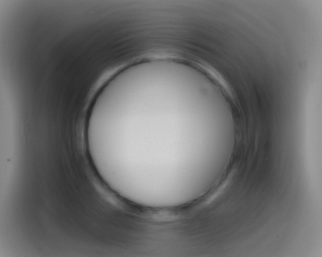 X0000114560986200910191008