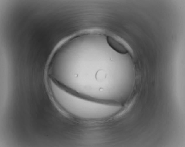 X0000114560989200910191008