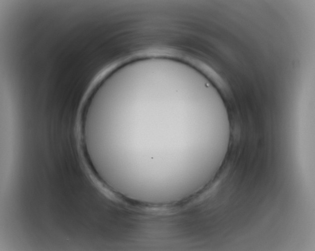 X0000114560990200910191008