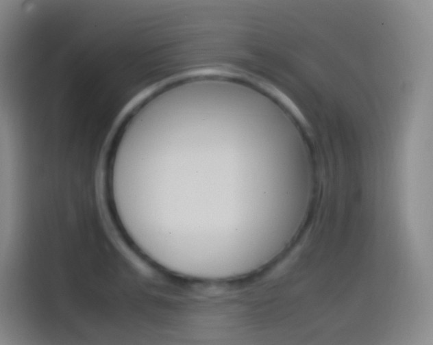 X0000114560991200910191008