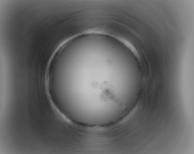 X0000114560992200910191008