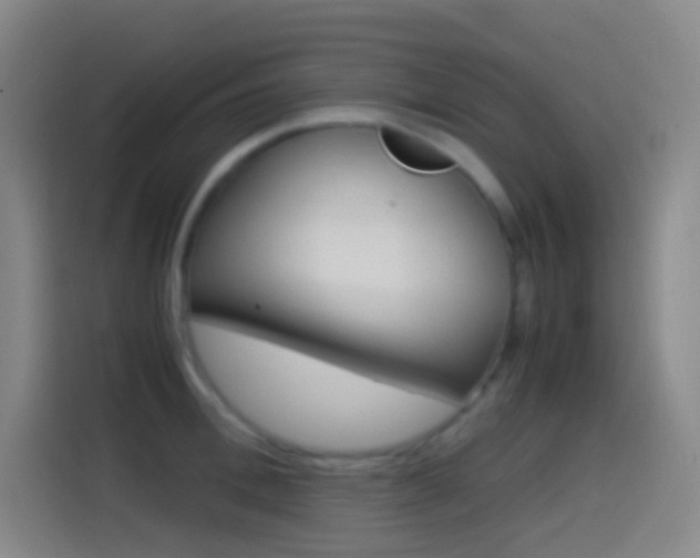 X0000114560996200910191008