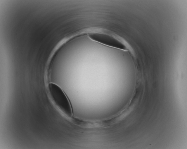 X0000114560997200910191008